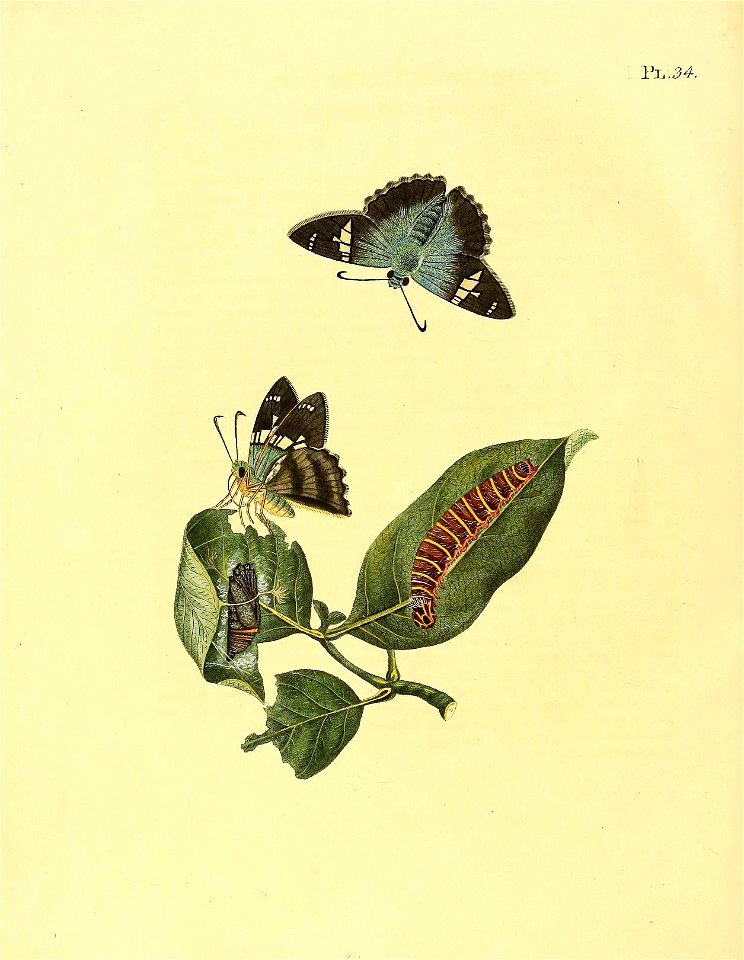 n157_w1150