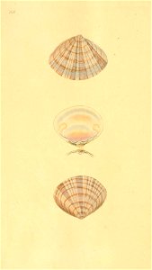 n507_w1150