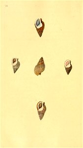 n381_w1150