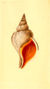 n159_w1150