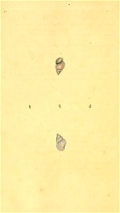 n441_w1150
