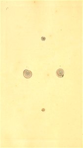 n377_w1150
