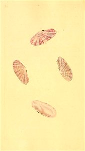 n299_w1150