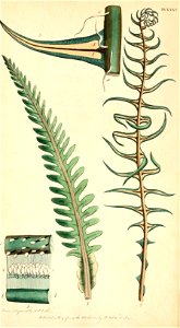 n149_w1150