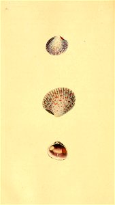 n409_w1150