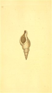 n203_w1150