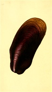 n127_w1150
