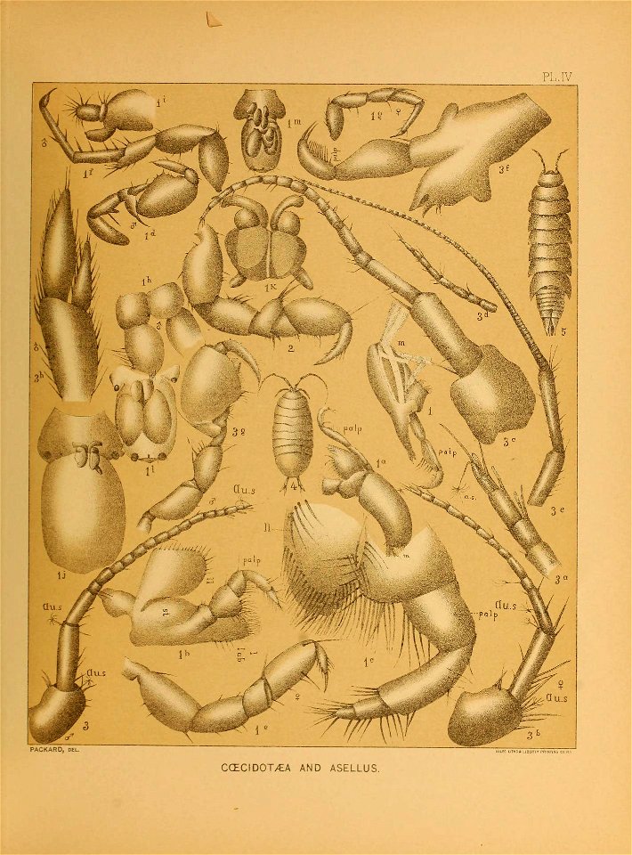 n174_w1150