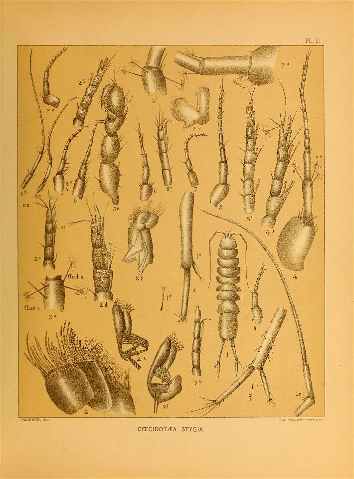 n172_w1150