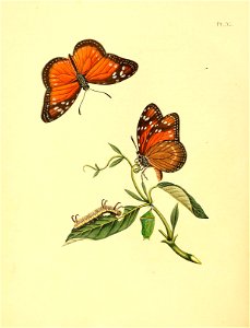 n395_w1150