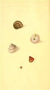 n59_w1150