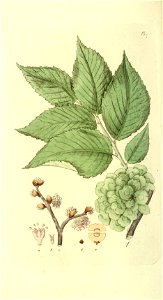 n59_w1150