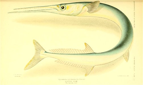 n46_w1150