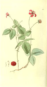 n111_w1150