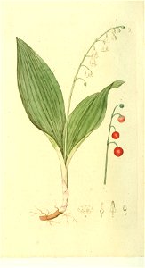 n43_w1150
