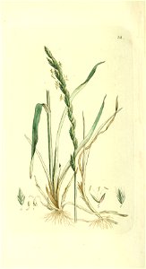 n159_w1150
