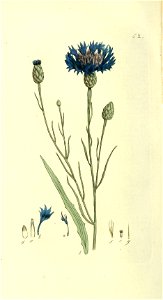 n215_w1150