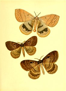 n178_w1150