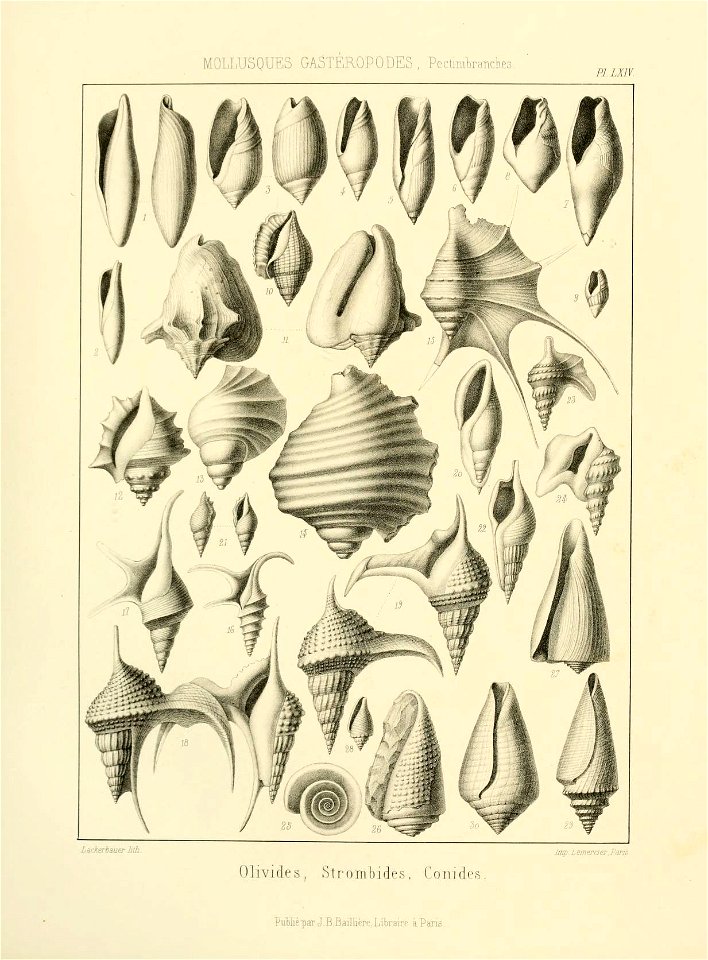 n176_w1150