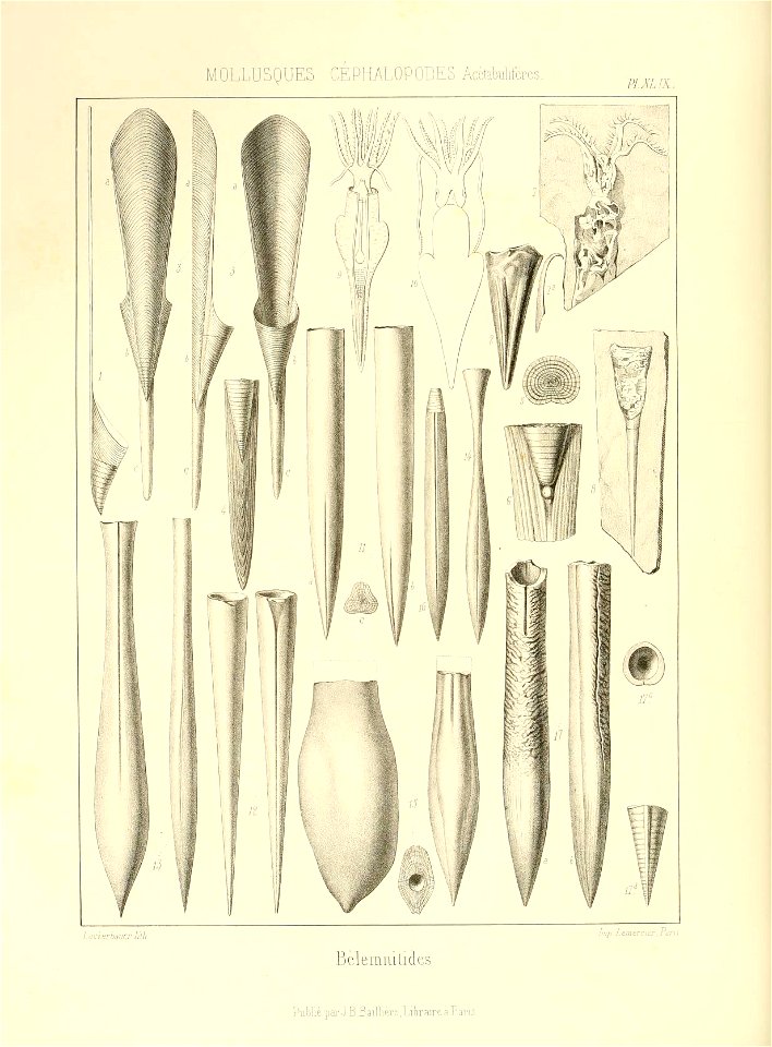 n135_w1150