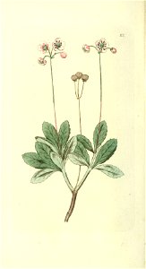 n115_w1150