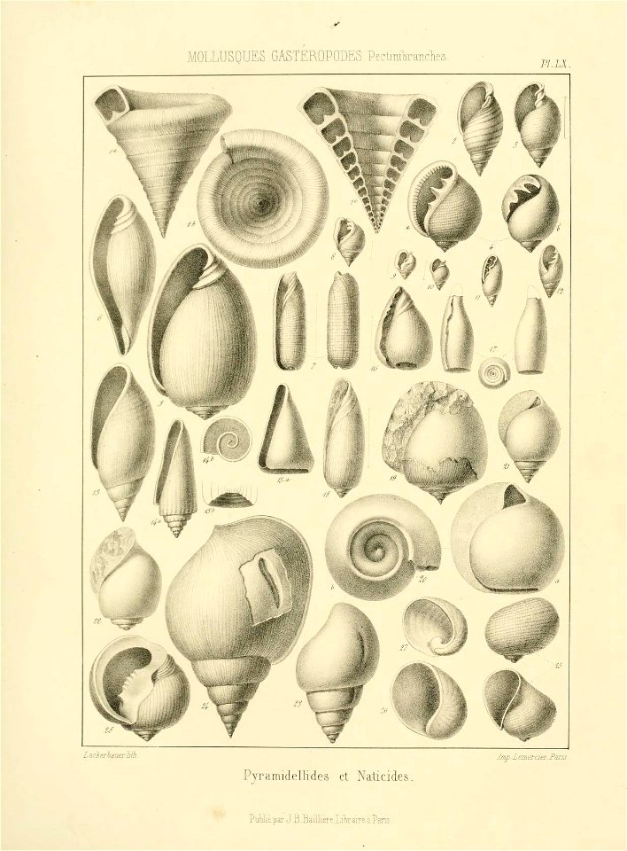 n164_w1150