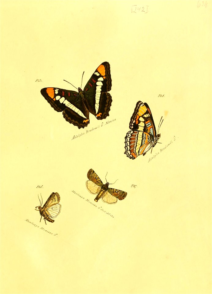 n286_w1150
