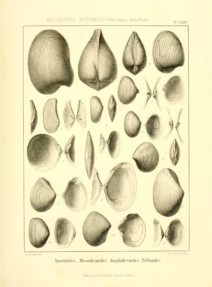 n204_w1150