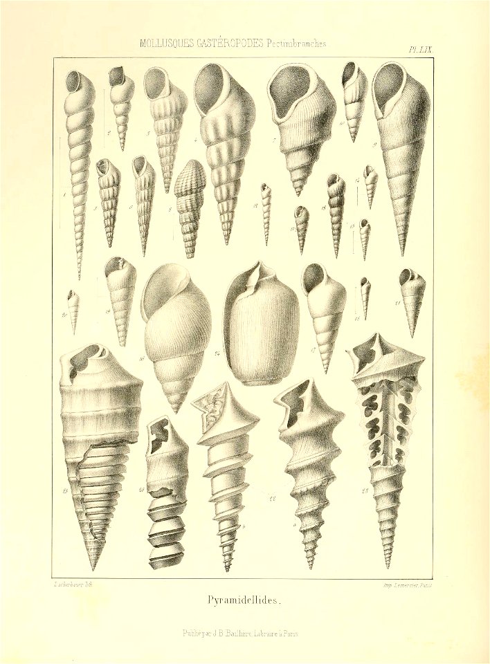 n161_w1150