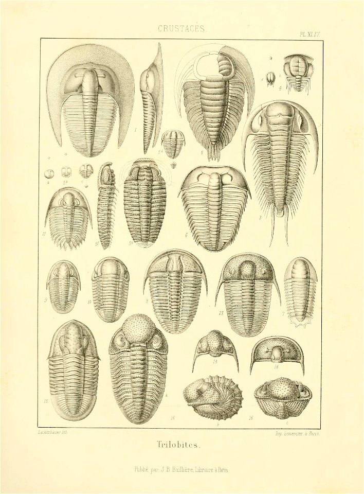 n122_w1150
