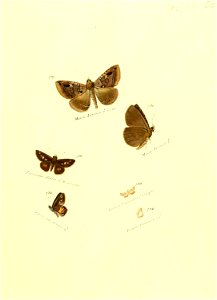 n254_w1150