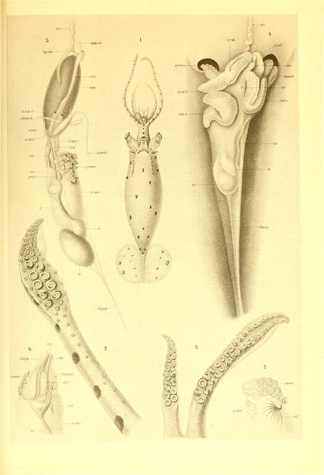 n138_w1150