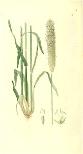 n63_w1150