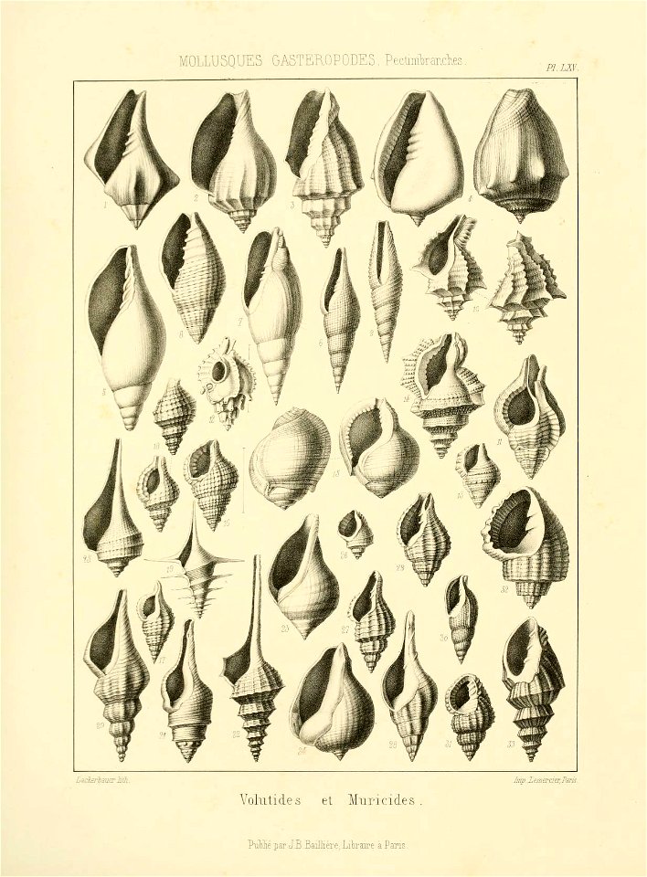 n178_w1150