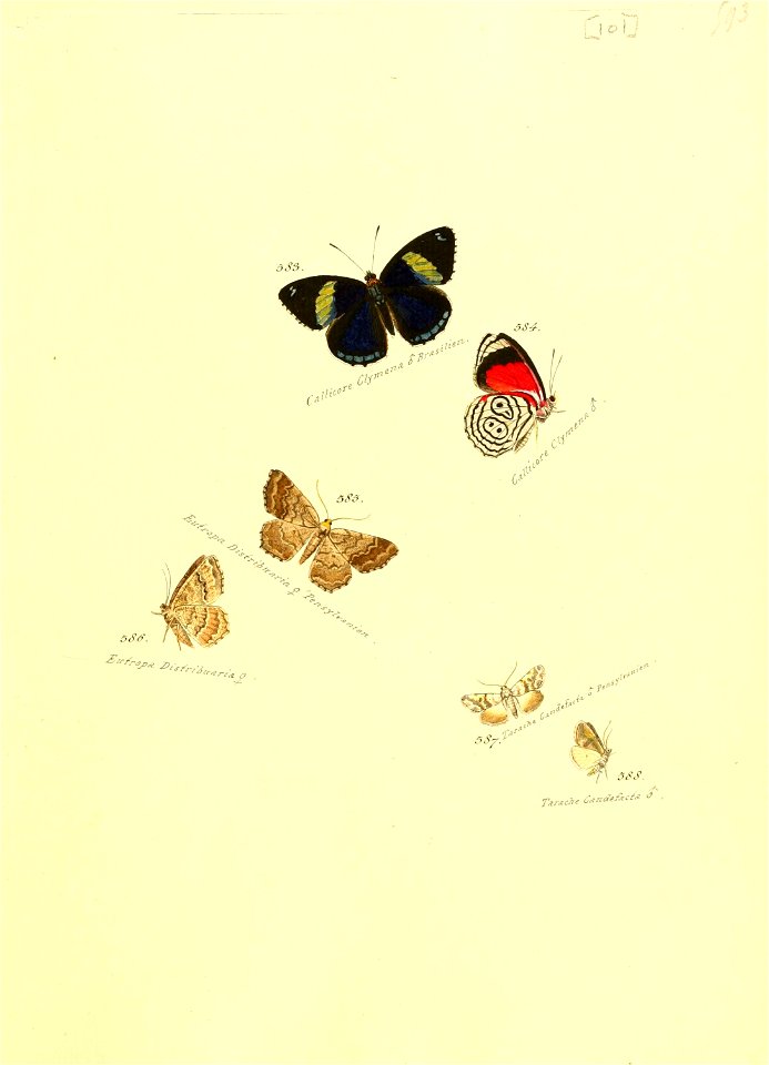 n204_w1150