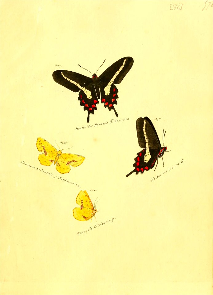 n174_w1150