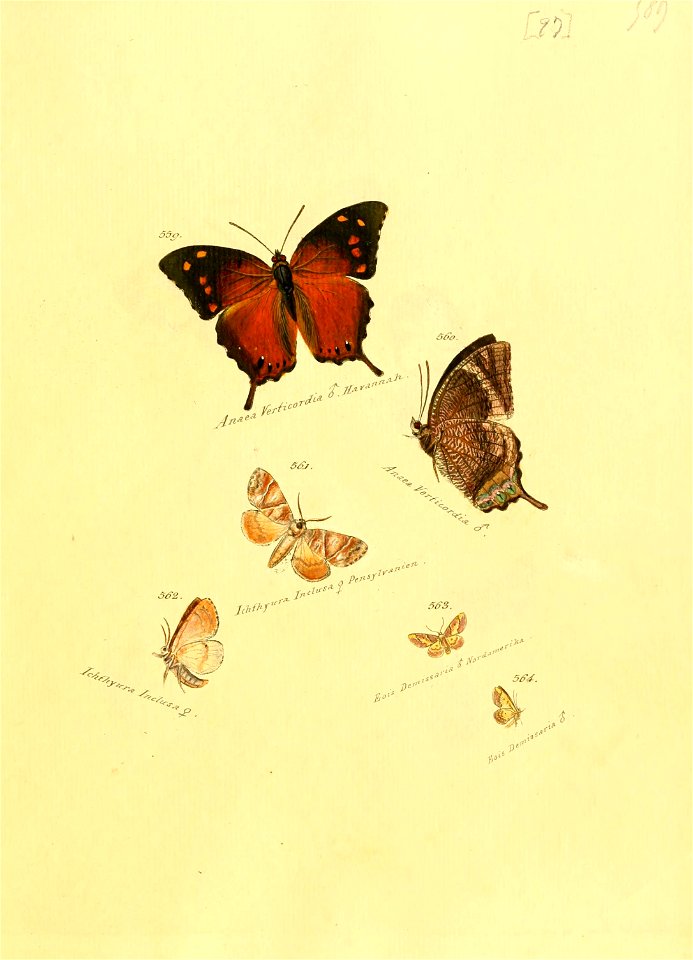 n196_w1150