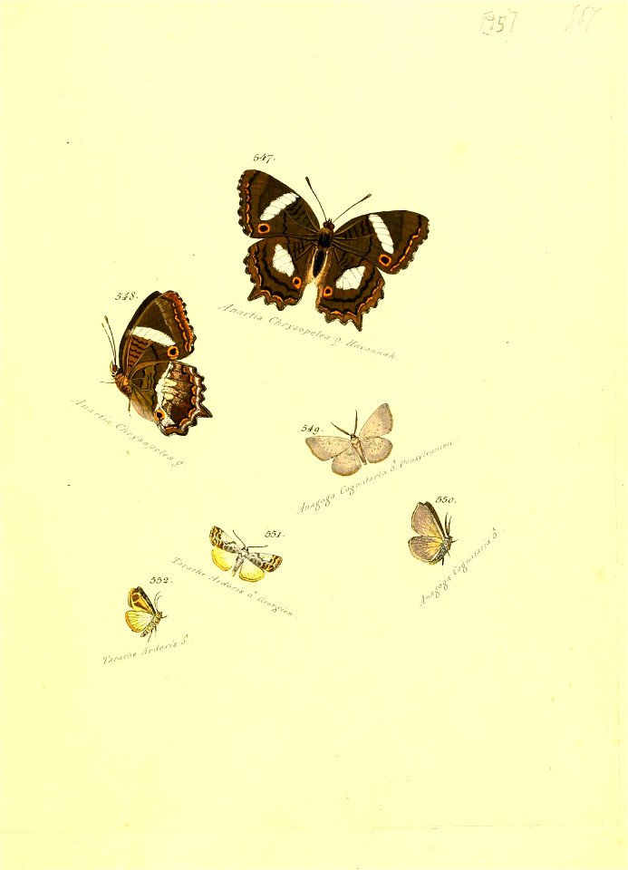 n192_w1150