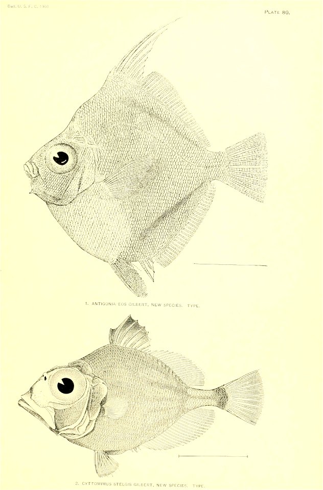 n88_w1150