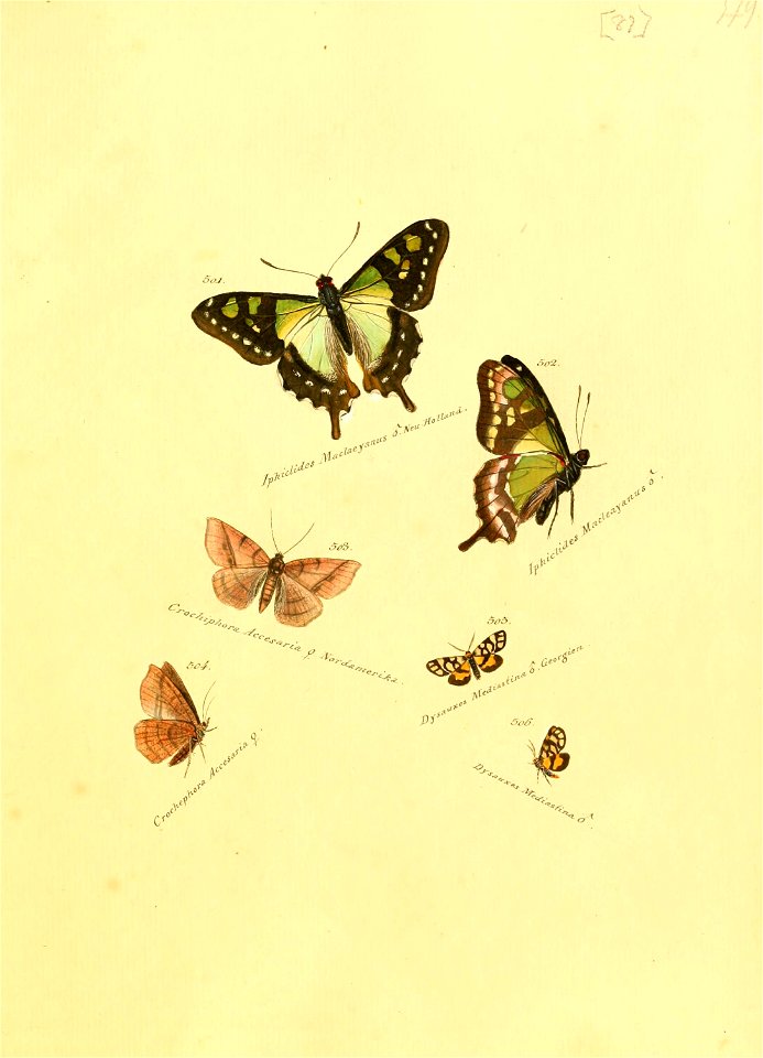 n176_w1150