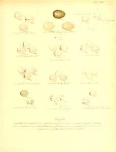n166_w1150
