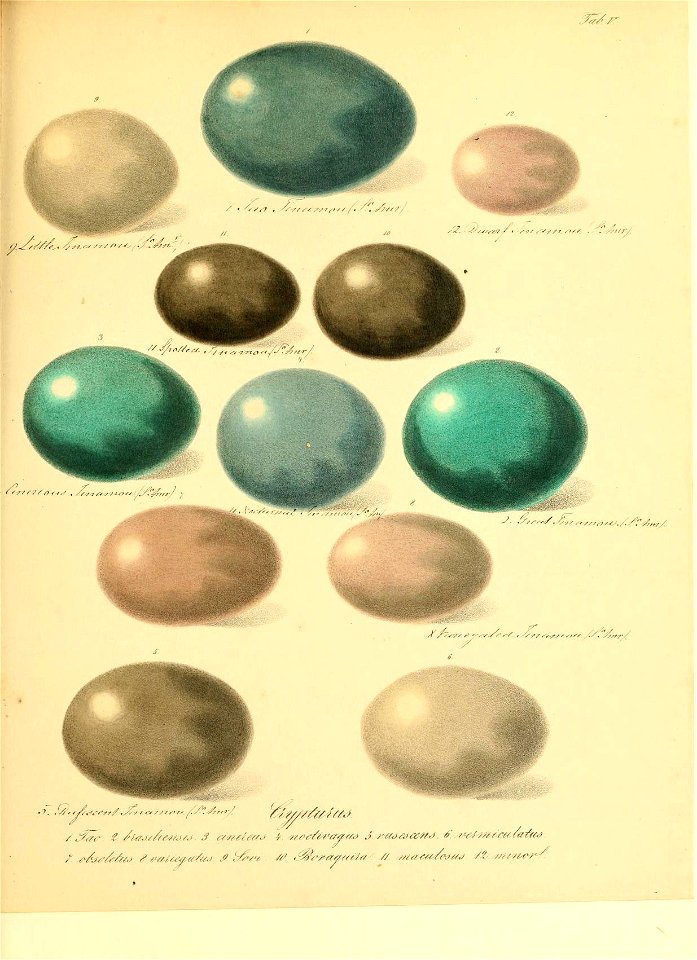 n46_w1150