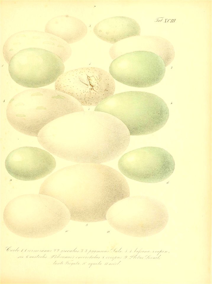 n390_w1150