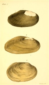 n102_w1150