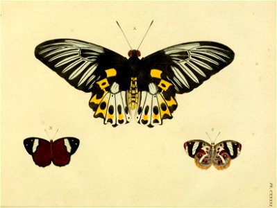 n147_w1150