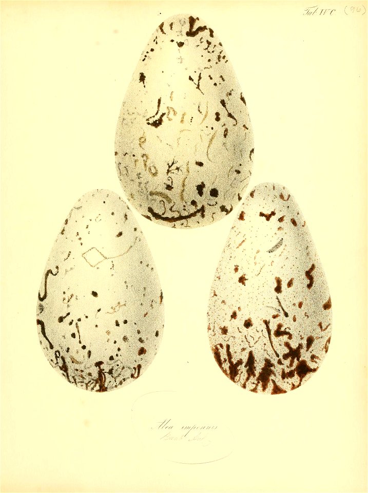 n402_w1150