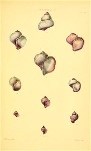 n102_w1150