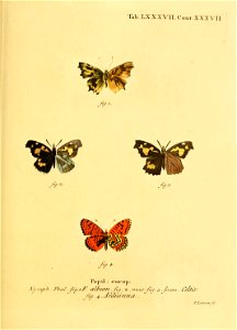 n182_w1150