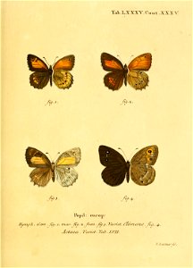 n178_w1150