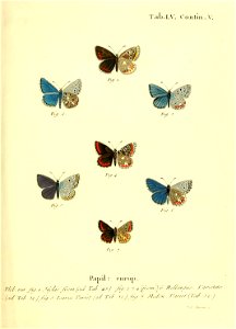 n118_w1150